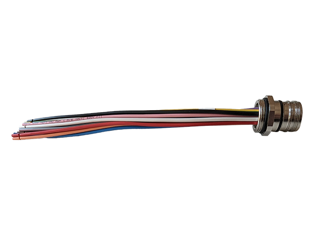 EASY M23 Gerätestecker SIGNAL 0,2m